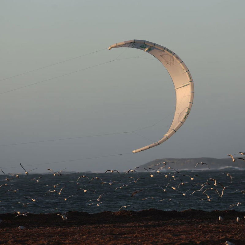 Duotone EVO Concept Blue