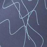 ION Vector Vest Core