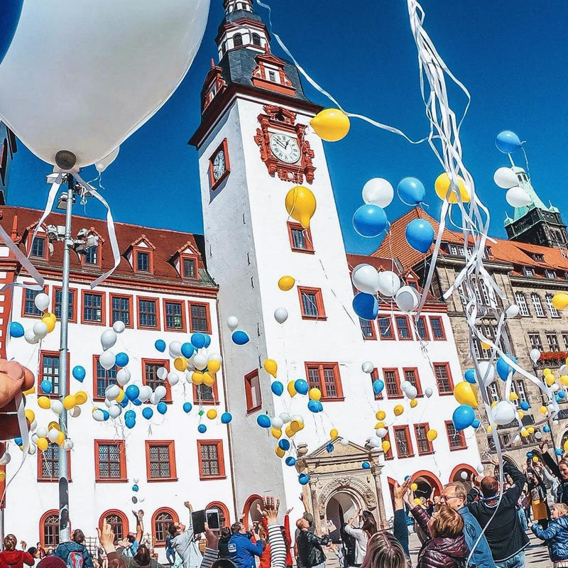 GoPro Head Strap Mount 2.0 - Powerkiteshop