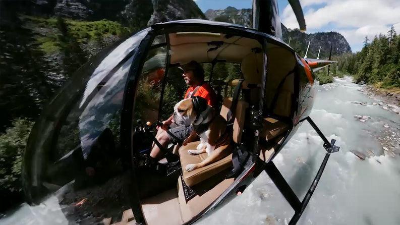 GoPro Max 360 - Powerkiteshop