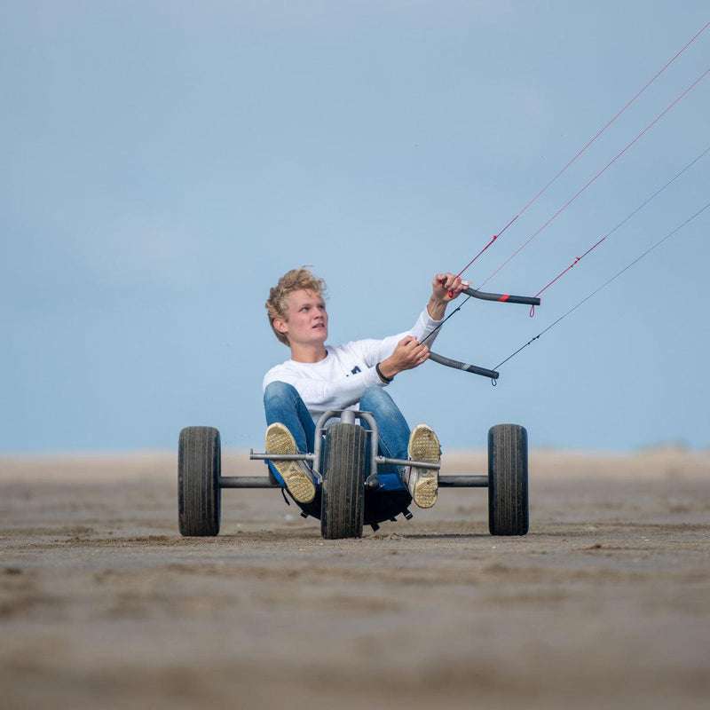 Peter Lynn Hornet - Powerkiteshop