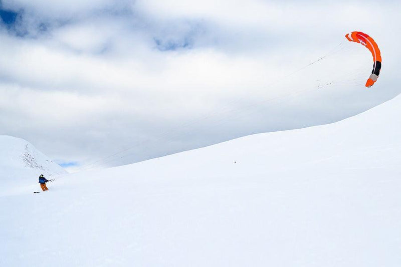 Peter Lynn Lynx - Powerkiteshop